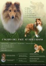 Ungaro del Pace at Hjaltadans